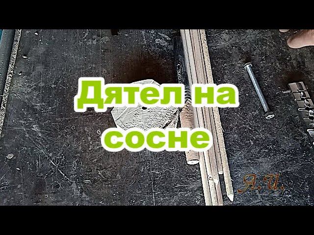 Дятел на сосне. Изготовление игрушки из дерева. смотреть онлайн