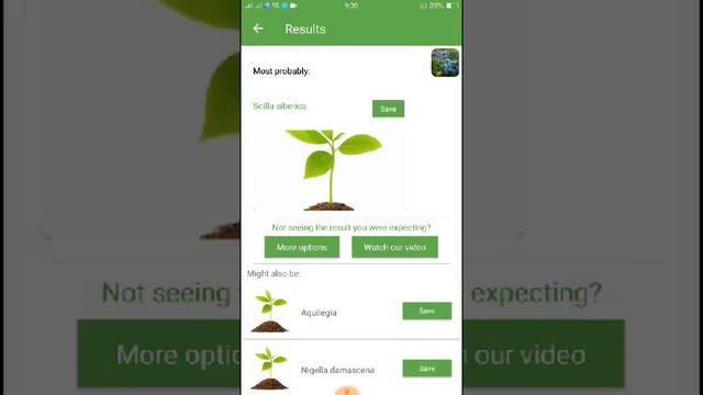 PlantSnap identifies a Siberian Squill (Scilla siberica) смотреть онлайн