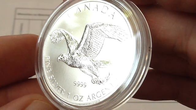 INVESTMENTS.ИНВЕСТИЦИИ в серебро.Белоголовый орлан.Канада. смотреть онлайн