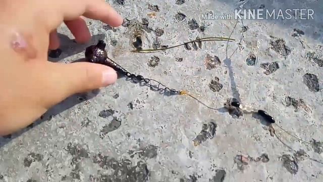 ПЕЛЕНГАС ПРЁТ！Поездка на море и лучшая рыбалка на пеленгаса！ смотреть онлайн