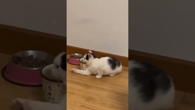 Как они это делают смотреть онлайн