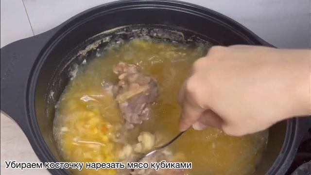 Животные в Зоопарках