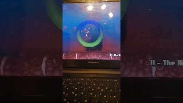 лютая комбуха, видео первое смотреть онлайн