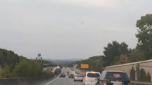 едем в гости ?,избавляемся от сорняков ?.#жизньвгермании /#дачавгермании #вдороге /