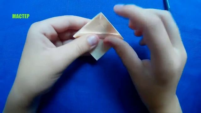 Энгри Берс/Оригами