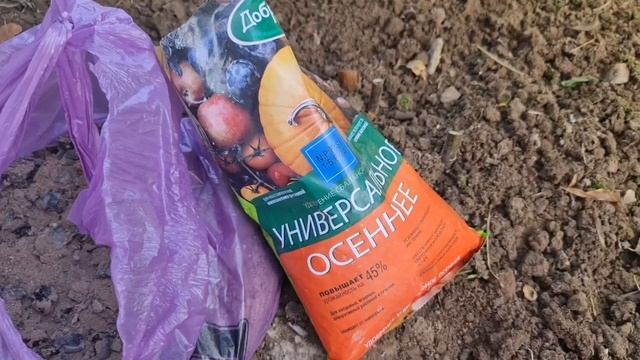 ПИОНЫ осенью! Как ухаживать и чем подкормить, чтобы ЦВЕТОВ СТАЛО БОЛЬШЕ! смотреть онлайн