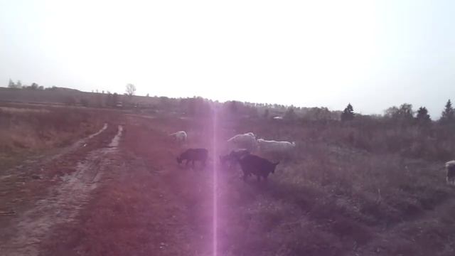 Когда рожать удобней смотреть онлайн