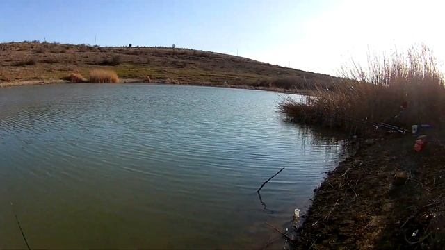 Приехали покормить рыбу. Энтузиаст и Айвовое. Холостая разведка. смотреть онлайн
