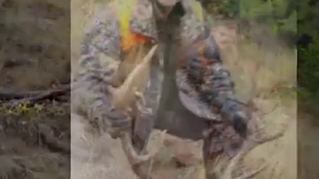 Amazing Elk Hunt Bob Marshall Wilderness - Montana смотреть онлайн