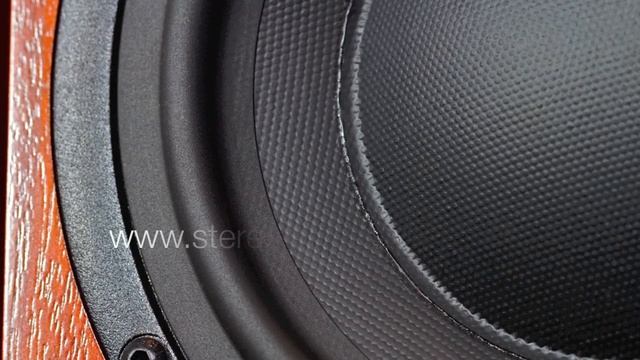 Stereo Design PMC Twenty.26 Speakers смотреть онлайн