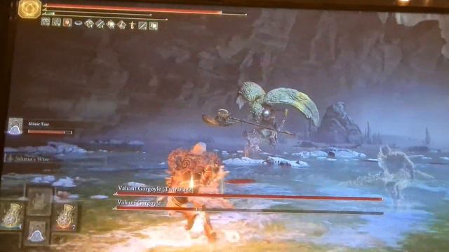 The valiant gargoyle twin boss in elden ring #eldenringgameplay #eldenring #eldenringclips смотреть онлайн