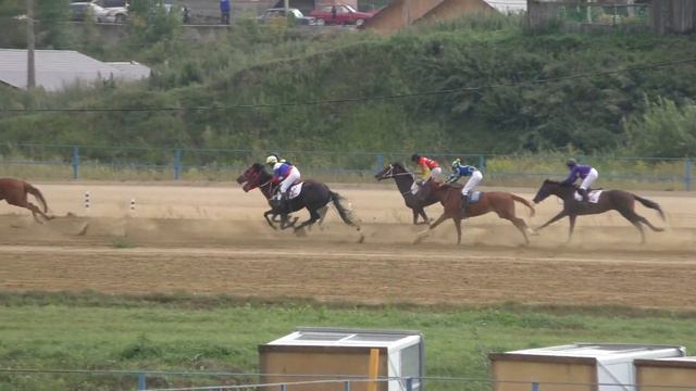 Скачка для лошадей 3 и стр. возраста-Емельяново 15.08.2015(Horse–Animal-racing-конь-смотреть-онлайн смотреть онлайн