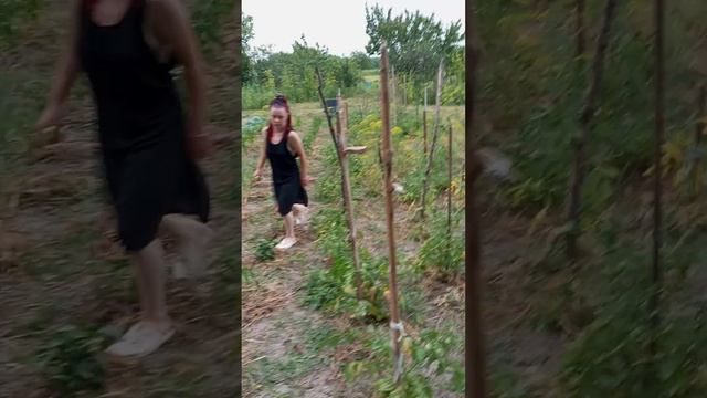 Продается дом Краснодарский край смотреть онлайн