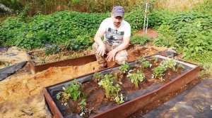 #23 Высокие грядки из металла. Подготовка огорода к следующему году.