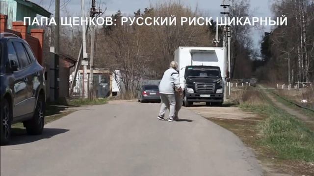 Щенок Кавказской овчарки, сука 3 мес., 11.11.2022 г. р. Www.r-risk.ru +79262205603 Татьяна Ягодкина