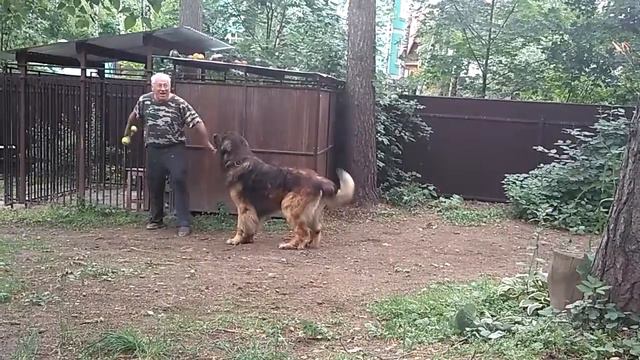 2016 07 08 Берни смотреть онлайн