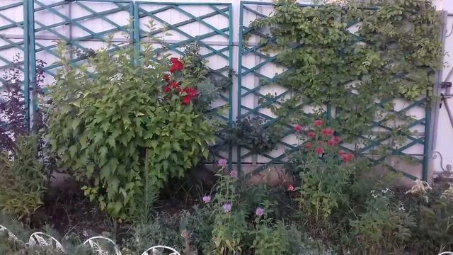 декорация внутренней части забора смотреть онлайн