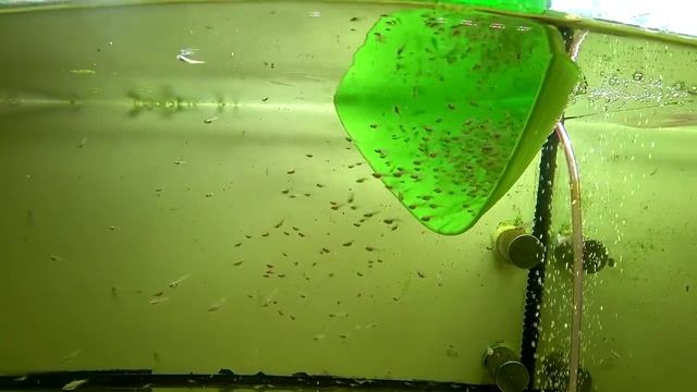 Хорошая выгрузка РЫБЫ смотреть онлайн