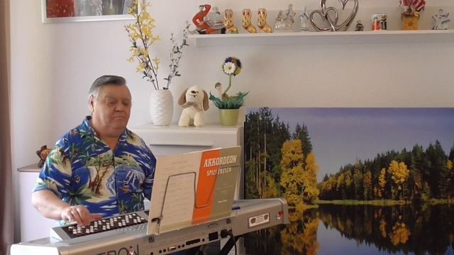 Муз.В.Томас "Танец маленьких утят" исп.В.Мозбах. смотреть онлайн