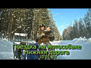 Поездка на мотособаке Нижняя дорога 10 01 20