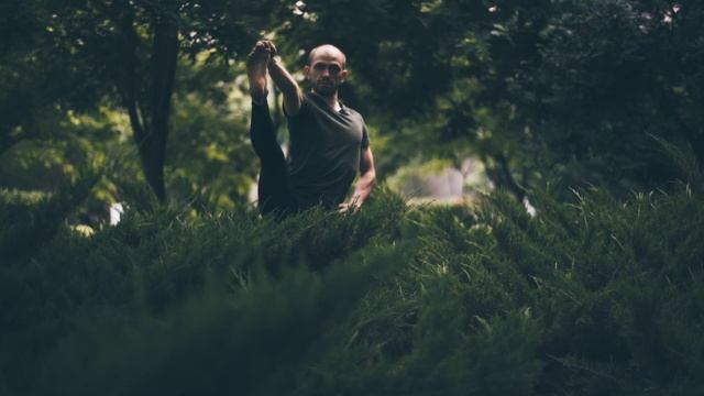 Хатха йога Александр Титов смотреть онлайн