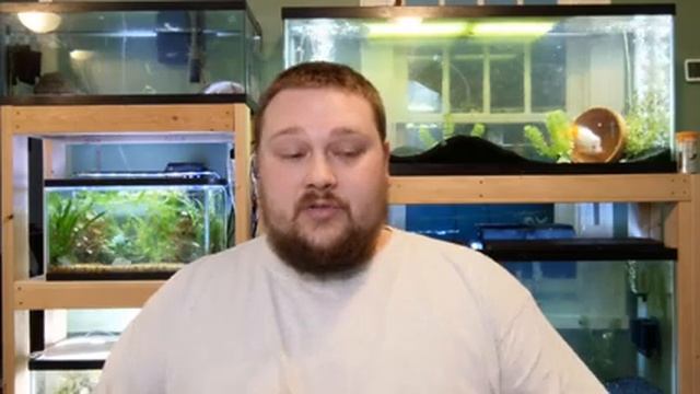 Green Aquarium Water - How to fix it! смотреть онлайн