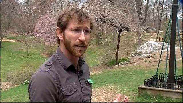 Coyotes Love New York City смотреть онлайн