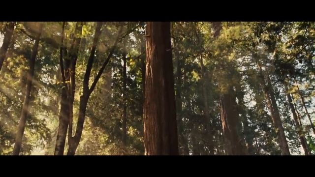 Rise Of The Planet Of The Apes (2011) - Caesar Growing up смотреть онлайн
