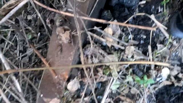 Что можно найти в поле?!Тут не только железо #металлокоп #поискметалла #чтонайтивполе #искалнашел смотреть онлайн