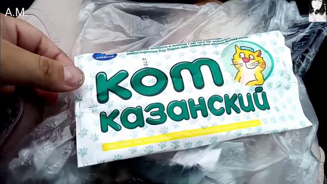 Вот такой он - кот казанский, Ленин с зонтиком смотреть онлайн
