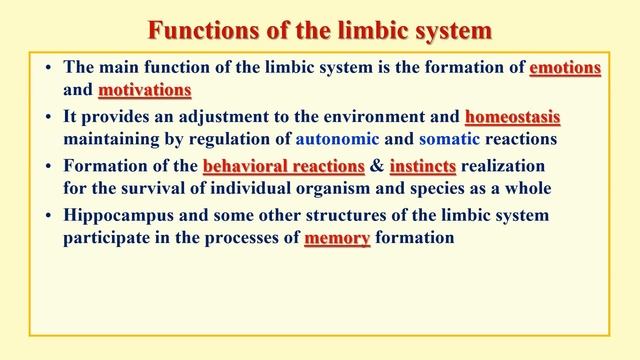 Special Physiology of CNS 2 смотреть онлайн