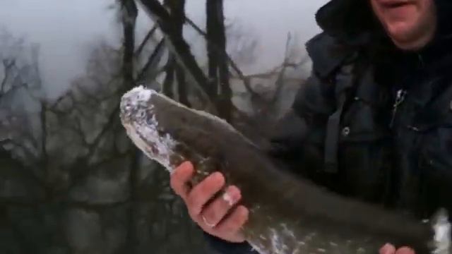 Отпускаем щуку 09.12.12 р. смотреть онлайн