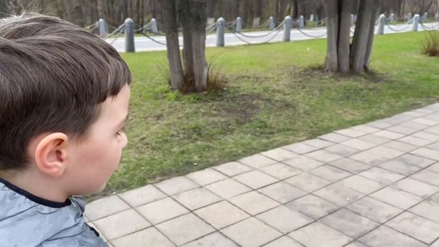 Vlog 3 Кузьминский лесопарк. Наша прогулка там. Жизнь в Москве смотреть онлайн