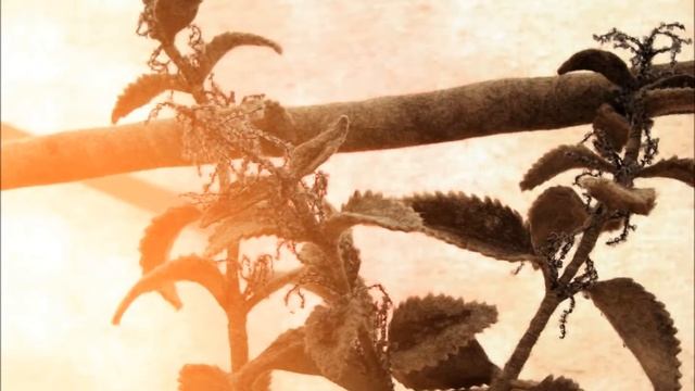 Ирина Андреева. Проект "Узелки на память" смотреть онлайн