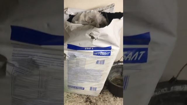 5.02.2020 обзор рассады томатов Махитос смотреть онлайн