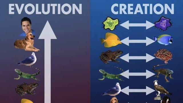 Evolutionism Falsified Once and For All! смотреть онлайн