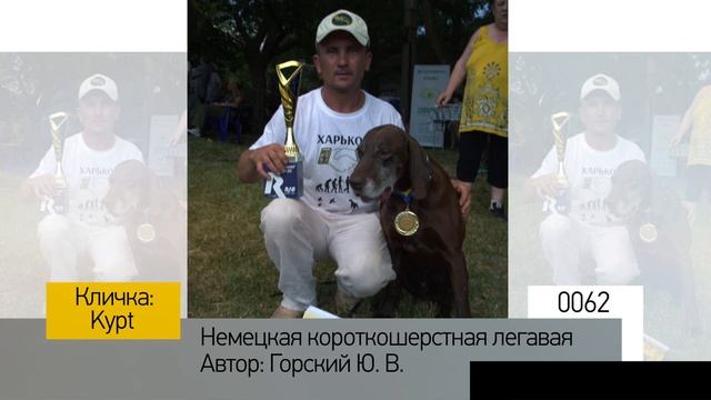 Фотоальбом - Собаки №013 смотреть онлайн