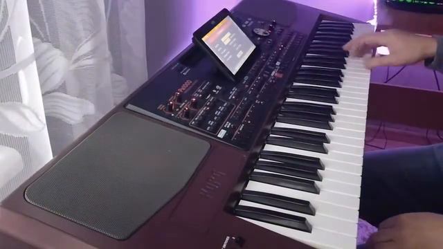 Bella Ciao Remix Korg pa 1000 смотреть онлайн