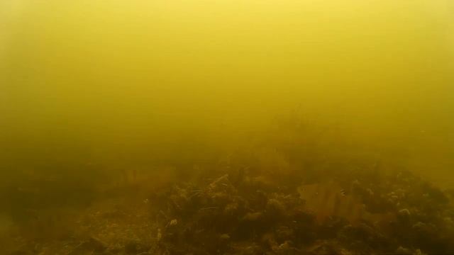 Зимняя рыбалка 2016 года 4 смотреть онлайн