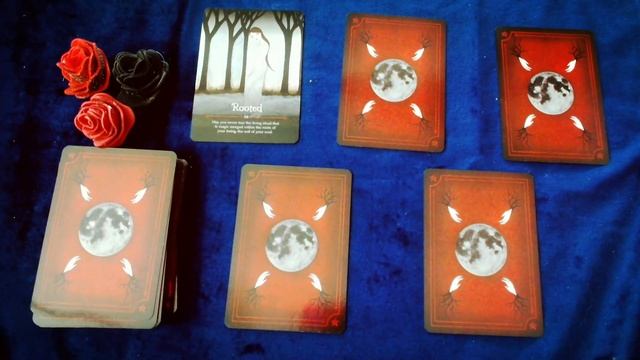 Season of the witch Samhain oracle - Recensione + interattivo ? смотреть онлайн