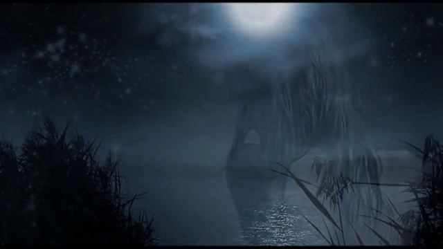 ТЫ МЕНЯ НИКОГДА НЕ ЛЮБИЛ - Елена Ваенга смотреть онлайн