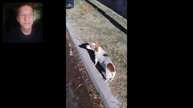 засмеялся и подписался || лучше приколы 2022 || с добрым утром смотреть онлайн