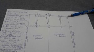 Построение основы выкройки прямой юбки для нетиповых фигур