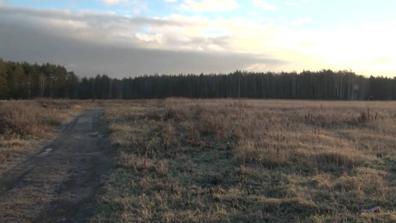 "МУСОРНЫЕ КОРОЛИ. ХРОНИКА ЭКОЛОГИЧЕСКИХ КАТАСТРОФ" смотреть онлайн