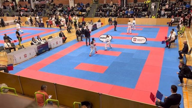 DM Karate 2022 - Kamp #1 смотреть онлайн