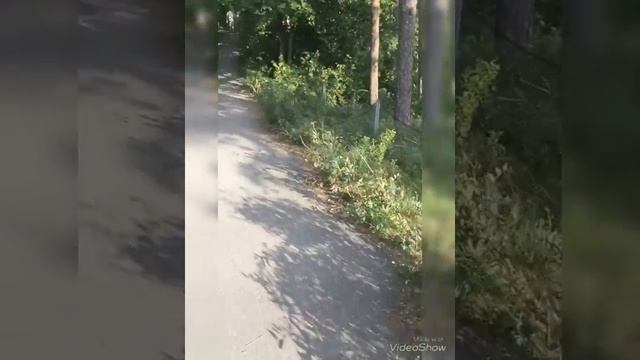 С сестрой на горе ! Джуя сломала ноготь ? смотреть онлайн