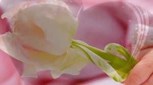 "Есть мама у котенка"