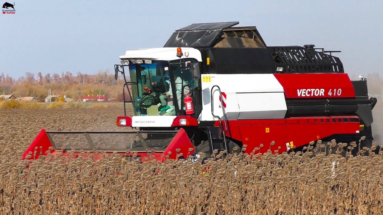 Уборка подсолнуха, собрали культиватор Lemken, вспашка на тракторах МТЗ. смотреть онлайн