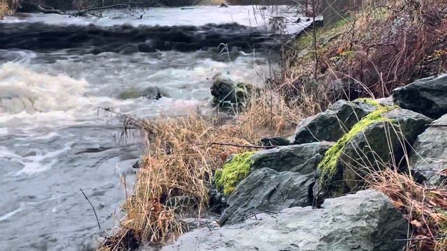 ИСЦЕЛЯЮЩАЯ СИЛА ВОДЫ смотреть онлайн
