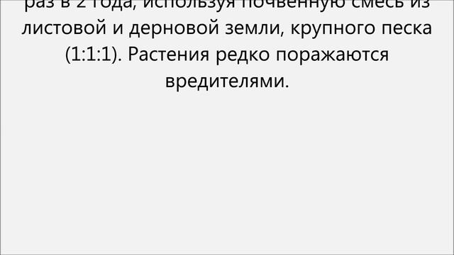 Хавортия уход смотреть онлайн